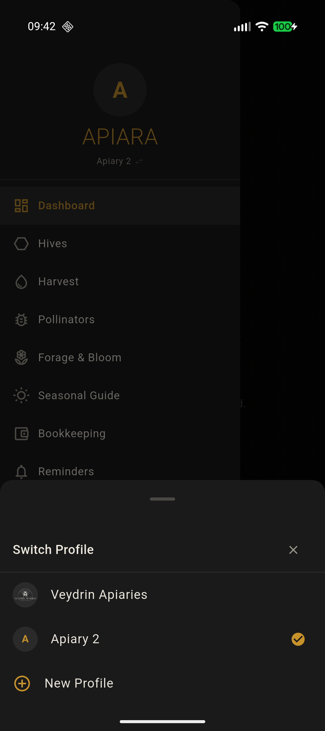 Multiple Accounts Switching